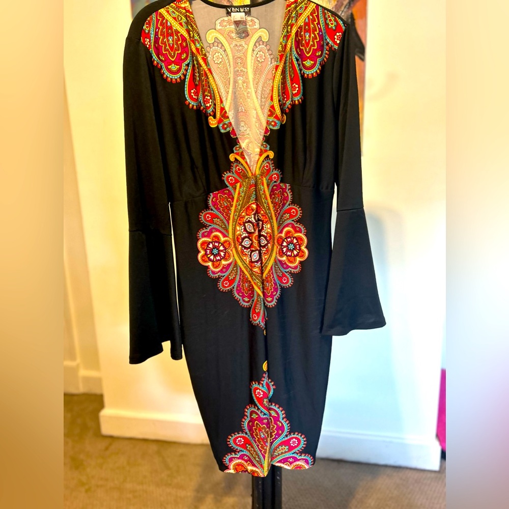 VENUS Black Dress with Vibrant Paisley Embroidery